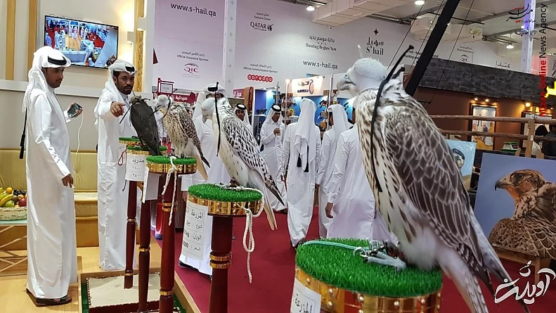 فروش بالابان یک و نیم میلیارد تومانی در مزایده قوشبازان قطر+فیلم و عکس